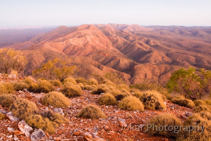 Larapinta_20080612_508 copy.jpg - Looking west from Brinkley Bluff in dawn light